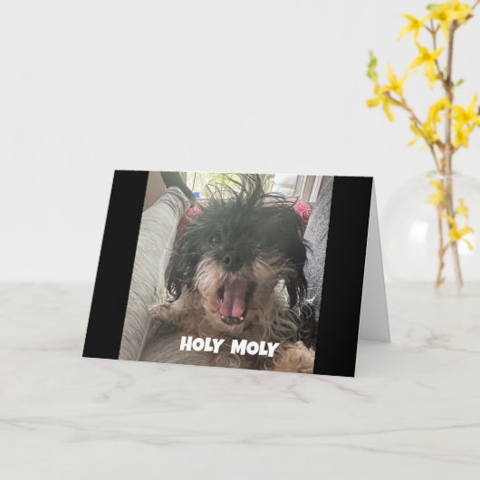 EEN SERIEUZE HOND ZEGT "GELUKKIGE 40E VERJAARDAG" KAART (Gele Bloem)