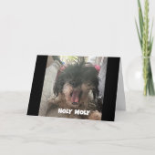 EEN SERIEUZE HOND ZEGT "GELUKKIGE 40E VERJAARDAG" KAART (Voorkant)