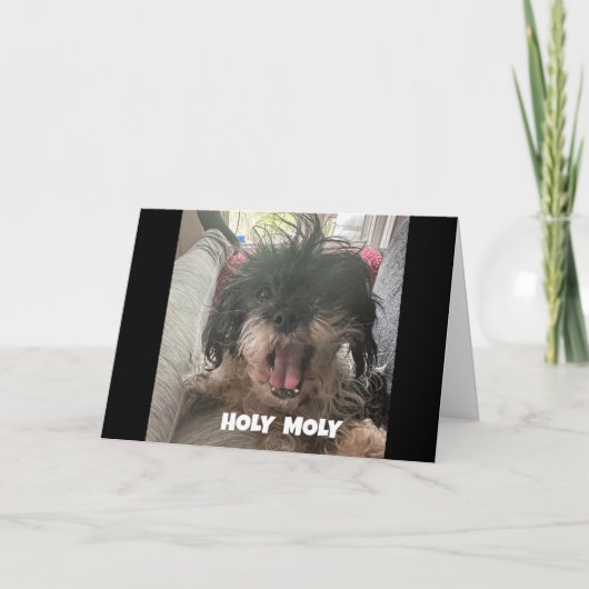 EEN SERIEUZE HOND ZEGT "GELUKKIGE 40E VERJAARDAG" KAART (Voorkant)