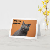 EEN SERIEUZE KAT ZEGT "GELUKKIGE 50STE VERJAARDAG" KAART (Gele Bloem)