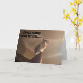 EEN SERIEUZE KAT ZEGT "GELUKKIGE VERJAARDAG" KAART (Gele Bloem)