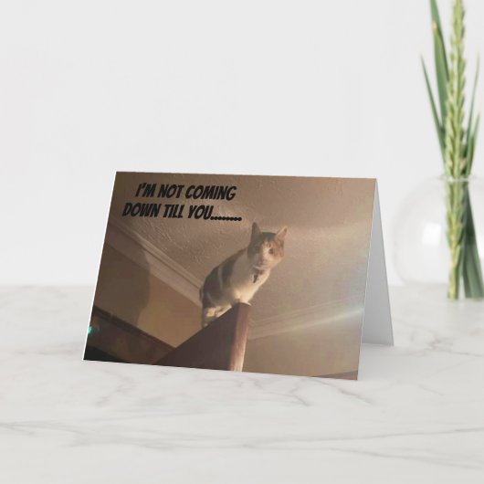 EEN SERIEUZE KAT ZEGT "GELUKKIGE VERJAARDAG" KAART (Voorkant)