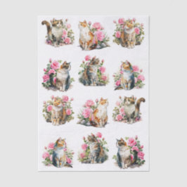 Een set watercolor katten (naar links en rechts ge tissuepapier