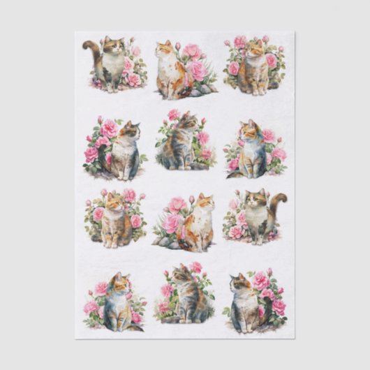 Een set watercolor katten (naar links en rechts ge tissuepapier (Voorkant)