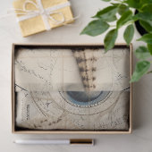 Een Shabby Chic Nautical Serie Design 14 Tissuepapier (Geschenk)