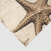 Een Shabby Chic Nautical Series Design 5 Tissuepapier (Detail)