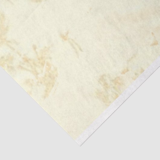 Een Shabby Chic Series Design 4 Tissuepapier (Detail)