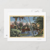 Een Shady Retreat in Echo Park Briefkaart (Voorkant / Achterkant)