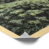 Een Shady Retreat in Echo Park Poster (Hoek)