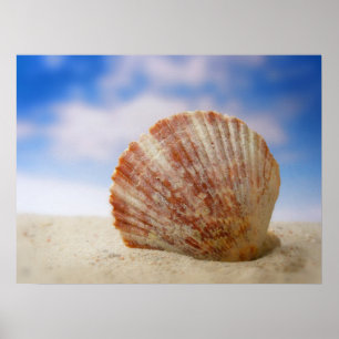 Een Shell die in het Zand wordt gepropt Poster