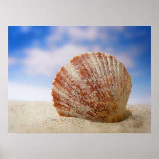 Een Shell die in het Zand wordt gepropt Poster (Voorkant)