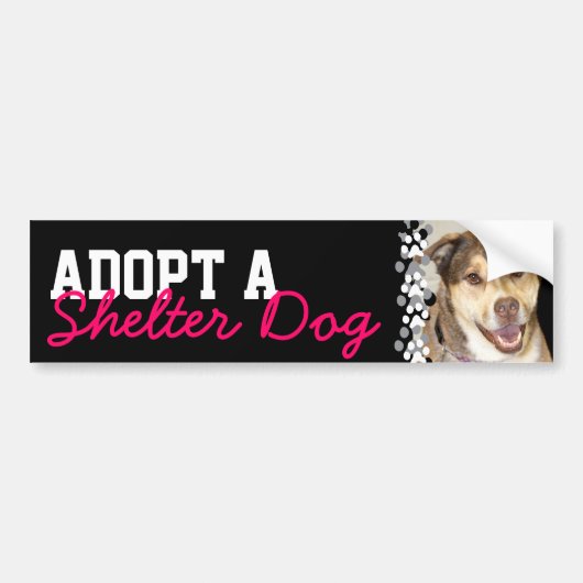 Een Shelter Dog aannemen Bumpersticker (Voorkant)