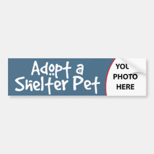 Een Shelter Pet aannemen Bumpersticker