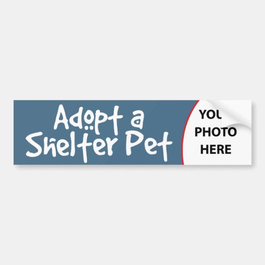 Een Shelter Pet aannemen Bumpersticker (Voorkant)