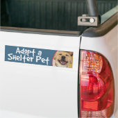 Een Shelter Pet Yellow Lab aannemen Bumpersticker (Op Truck)