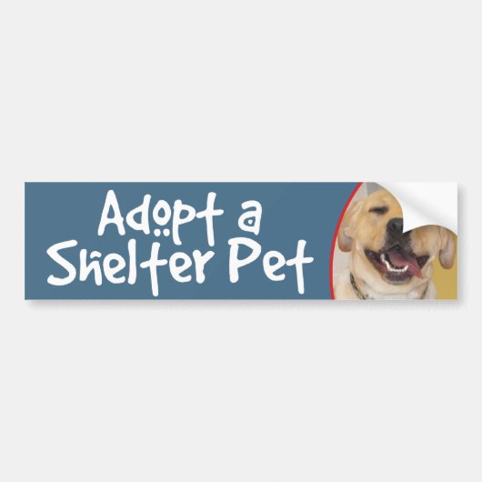 Een Shelter Pet Yellow Lab aannemen Bumpersticker (Voorkant)