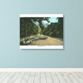 Een Shepherd Leading Sheep op een Maine Highway Canvas Afdruk (Insitu (Houten vloer))