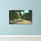 Een Shepherd Leading Sheep op een Maine Highway Canvas Afdruk (Insitu (Houten vloer))