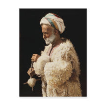 Een Shepherd uit de holy land spinwol