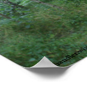 Een Sherwood Forest Path Poster (Hoek)