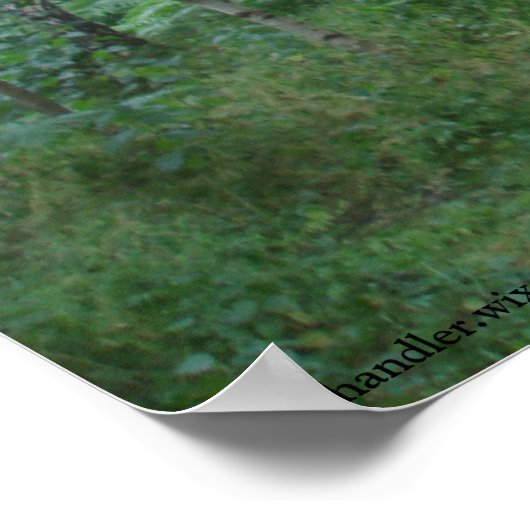 Een Sherwood Forest Path Poster (Hoek)