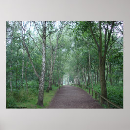 Een Sherwood Forest Path Poster