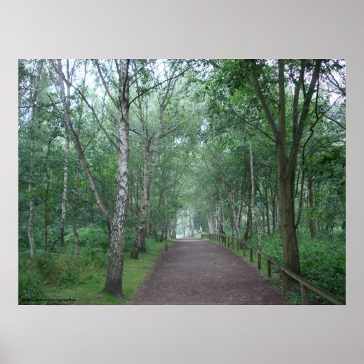 Een Sherwood Forest Path Poster (Voorkant)