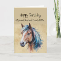 Een Shetland Pony Persoonlijkheid Verjaardag Paard