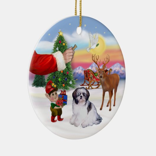 Een Shih Tzu (A) Keramisch Ornament (Rechts)
