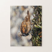 Een Showstop Ruddy Turnstone Shorebird Legpuzzel (Verticaal)