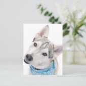 Een Siberian Husky Mix tilt zijn hoofd Briefkaart (Staand voorkant)