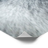 Een Silverback's blik Poster (Hoek)