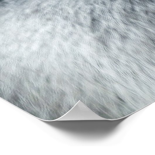 Een Silverback's blik Poster (Hoek)