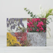 Eén simpele Les Vier Saisons (Staand voorkant)