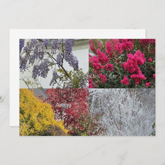 Eén simpele Les Vier Saisons (Voorkant / Achterkant)