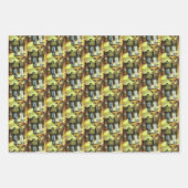 Een Sixtijnse Chape I fase van een ChaIenge Inpakpapier Vel (Voorkant)