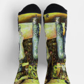 Een Sixtijnse Chape I fase van een ChaIenge Sokken (Top)