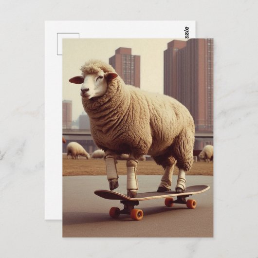 Een skateboarden wit schaap briefkaart (Voorkant / Achterkant)
