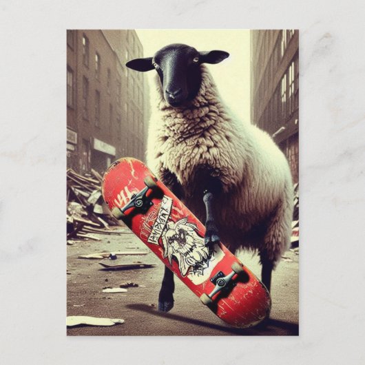Een Skateboardende Schaap Briefkaart (Voorkant)