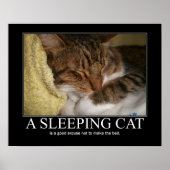 Een slaapkat-kunstwerk poster (Voorkant)