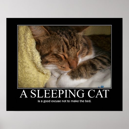 Een slaapkat-kunstwerk poster (Voorkant)