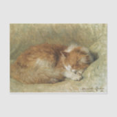 Een slaapkat van Henriette Ronner-Knip Tissuepapier (Voorkant)