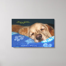 Een slaperige Golden Retriever Canvas Afdruk