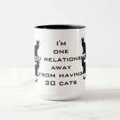 Een slecht relatie weg van 30 katten mok (Midden)