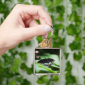 Een Sleutelhanger voor onverwacht verschijnen (Hand)