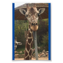 Een sleuteljongen 4X6 afdrukken #2 Foto Afdruk