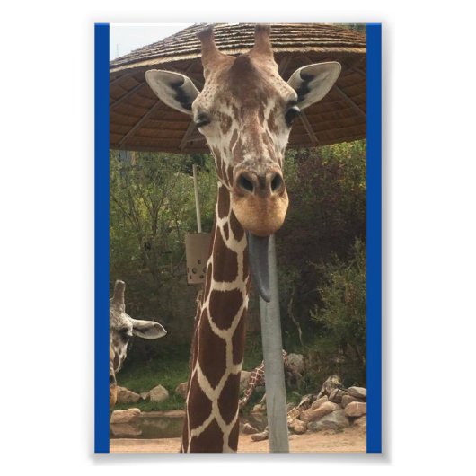 Een sleuteljongen 4X6 afdrukken #2 Foto Afdruk (Voorkant)