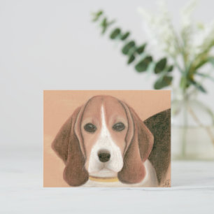 Een slimme hond. pasta briefkaart