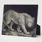 Een slingertijger (potlood op papier) fotoplaat (Zijkant)