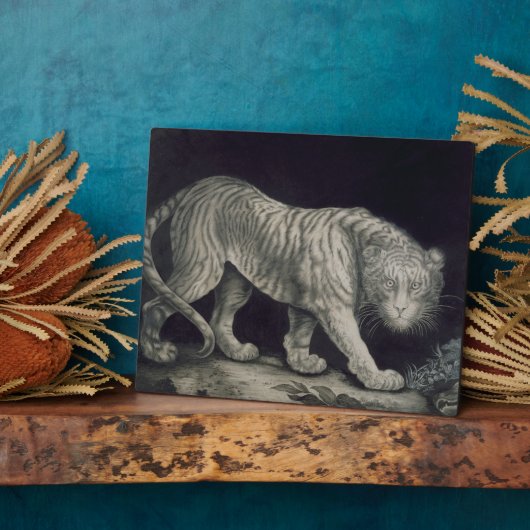 Een slingertijger (potlood op papier) fotoplaat (Zijkant)